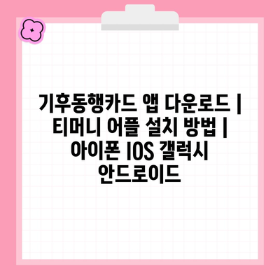 기후동행카드 앱 다운로드 | 티머니 어플 설치 방법 | 아이폰 IOS 갤럭시 안드로이드