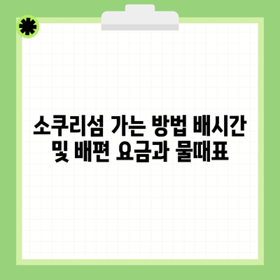 소쿠리섬 가는 방법 배시간 및 배편 요금과 물때표