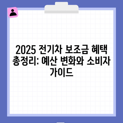 2025 전기차 보조금 혜택 총정리: 예산 변화와 소비자 가이드