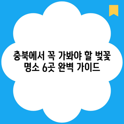 충북에서 꼭 가봐야 할 벚꽃 명소 6곳 완벽 가이드