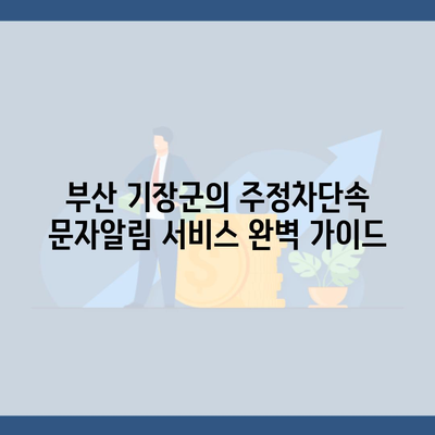 부산 기장군의 주정차단속 문자알림 서비스 완벽 가이드