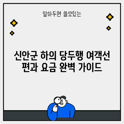 신안군 하의 당두행 여객선 편과 요금 완벽 가이드