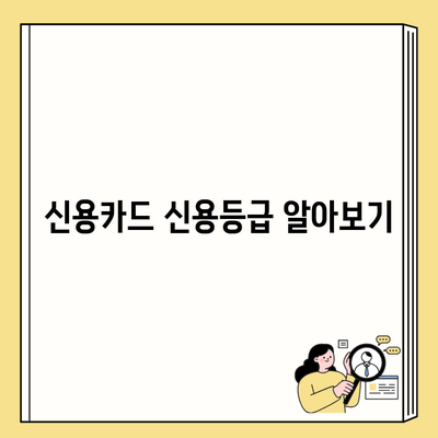 신용카드 신용등급 알아보기