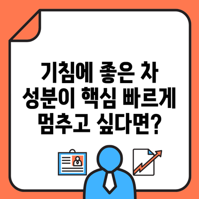 기침에 좋은 차 성분이 핵심 빠르게 멈추고 싶다면?