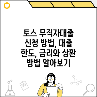 토스 무직자대출 신청 방법, 대출 한도, 금리와 상환 방법 알아보기