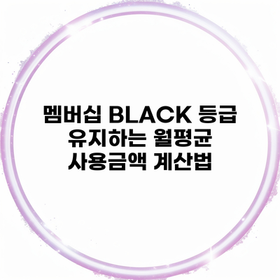 멤버십 BLACK 등급 유지하는 월평균 사용금액 계산법