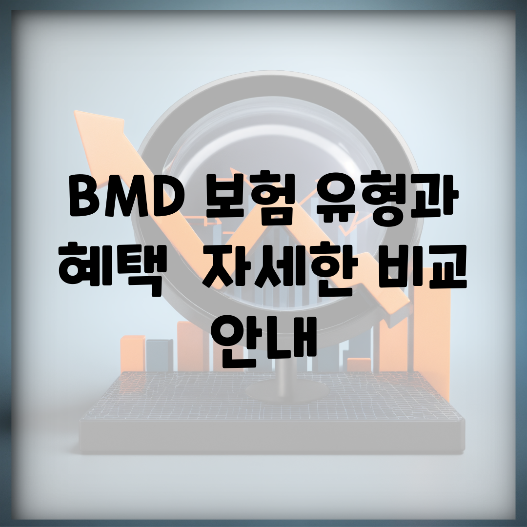 BMD 보험 유형과 혜택 | 자세한 비교 안내