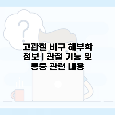 고관절 비구 해부학 정보 | 관절 기능 및 통증 관련 내용