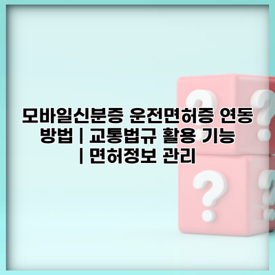 모바일신분증 운전면허증 연동 방법 | 교통법규 활용 기능 | 면허정보 관리