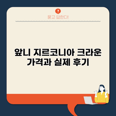 앞니 지르코니아 크라운 가격과 실제 후기
