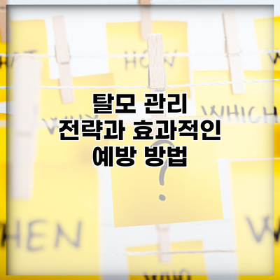 탈모 관리 전략과 효과적인 예방 방법