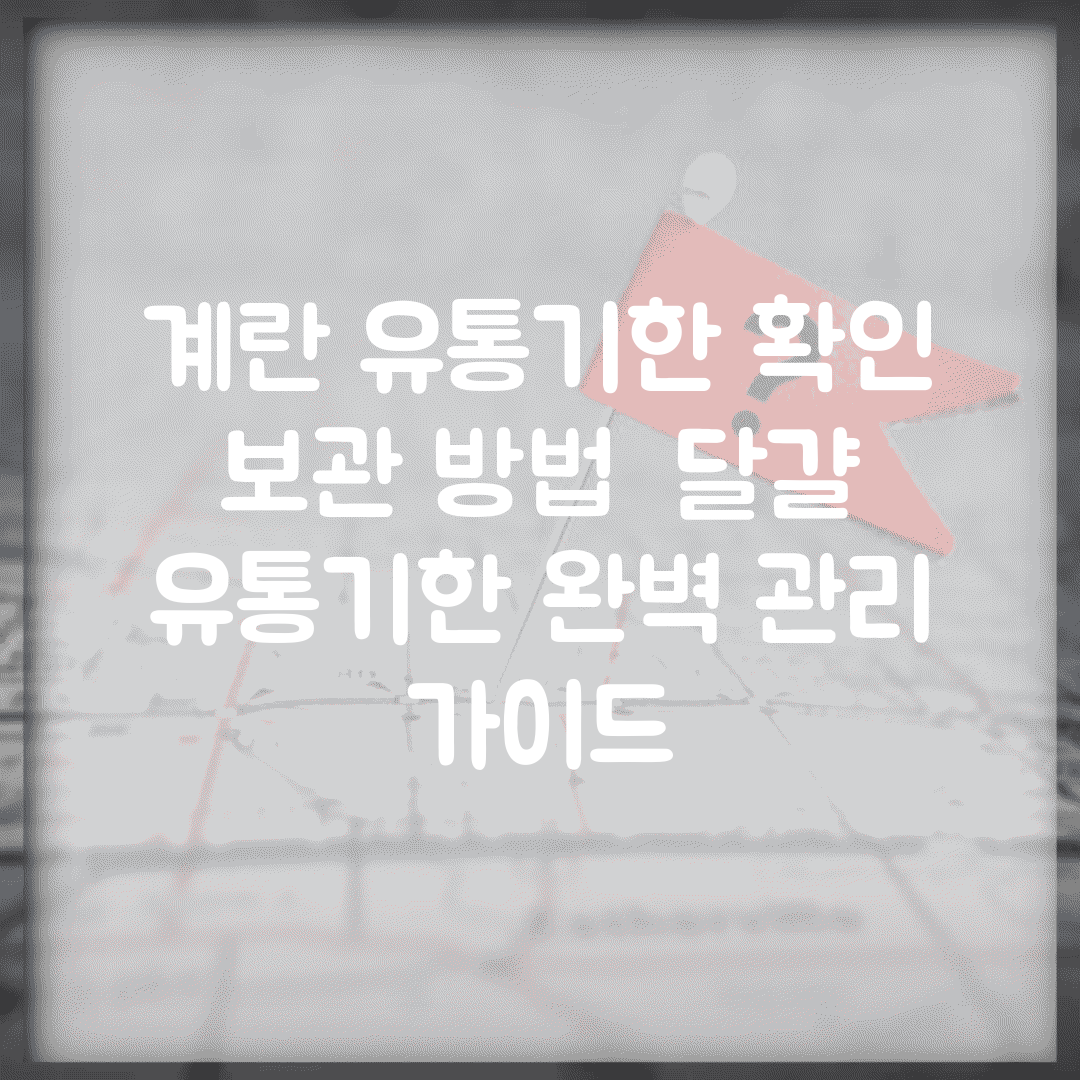 계란 유통기한 확인 보관 방법 | 달걀 유통기한 완벽 관리 가이드
