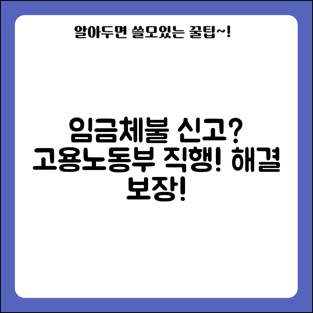 고용노동부 임금체불 신고 | 고용감독관 통한 임금체불 처리