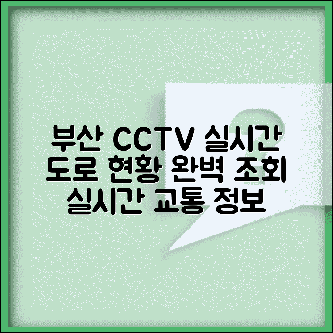 부산 cctv 실시간 교통정보 도로현황 | 부산시 실시간 CCTV 완벽 조회법