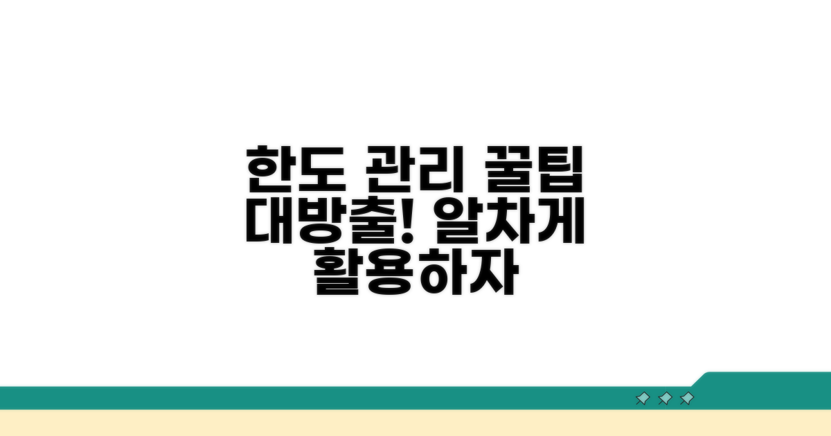 한도 관리 및 활용 꿀팁