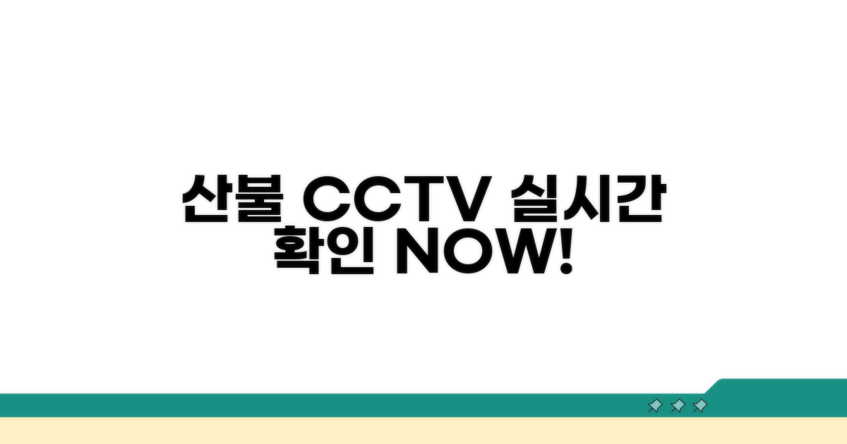 산불 CCTV 실시간 확인 방법