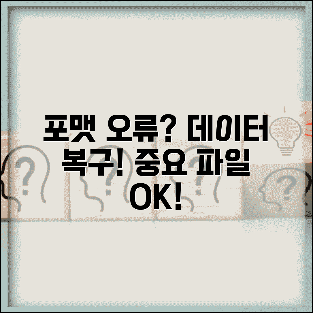 포맷 오류 데이터 손실 방지 | 포맷 실패해도 중요 파일 살리는 데이터 복구 전문 도구 활용