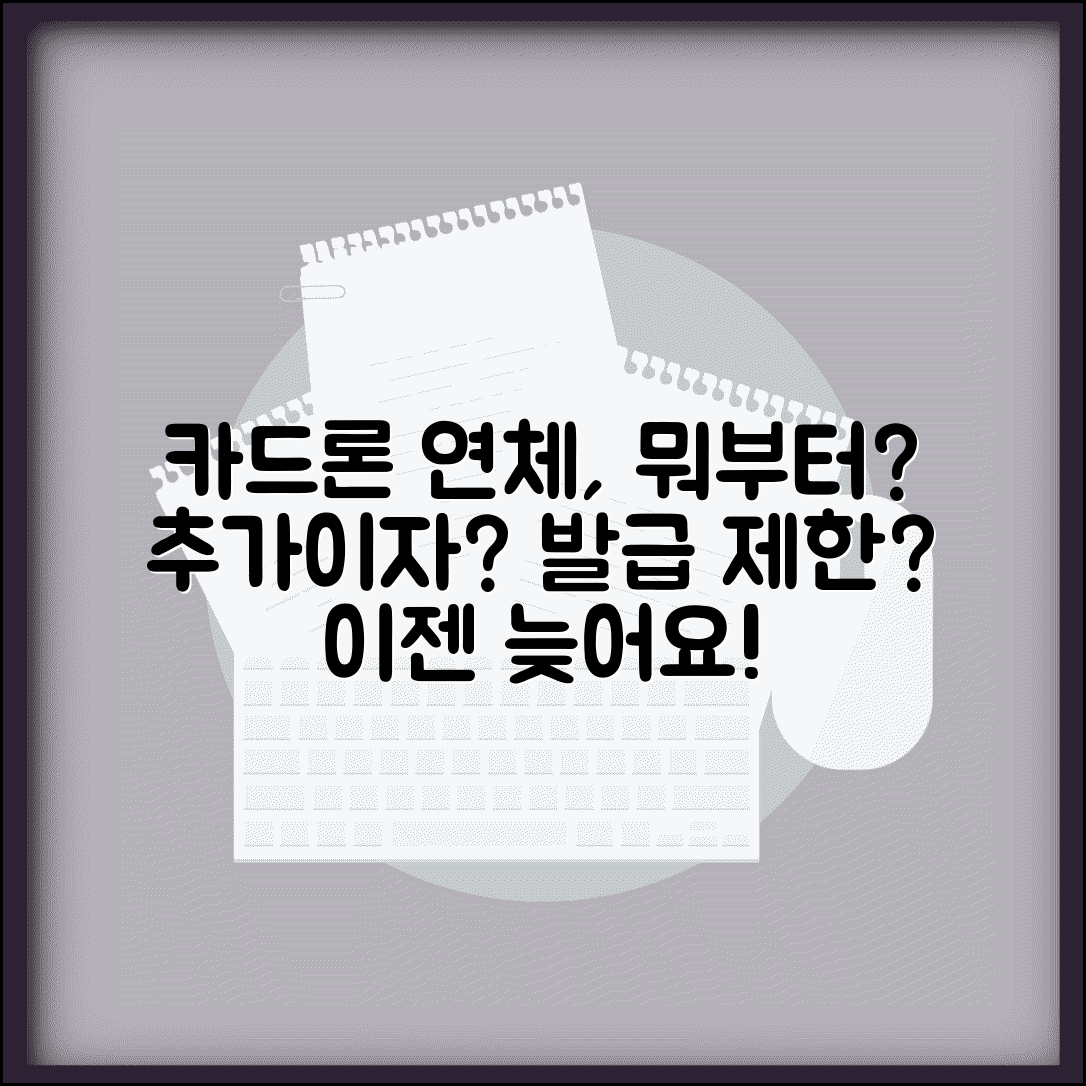 카드론 연체하면 어떻게 되나 | 카드대출 연체시 추가이자 부과와 신규 발급 제한