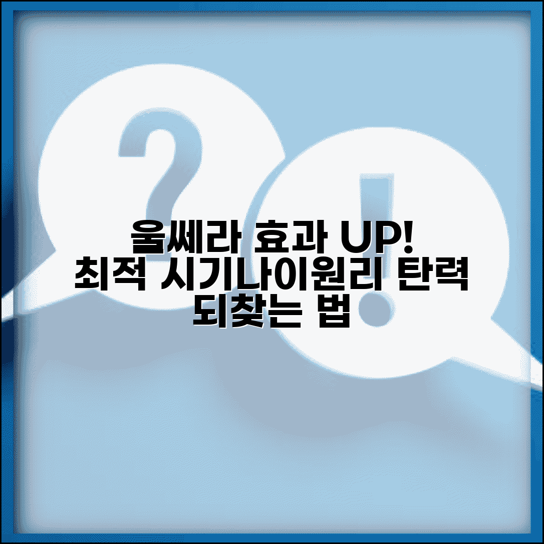 울쎄라 시술 효과 극대화 | 최적 시기, 나이, 탄력 개선 메커니즘 총정리