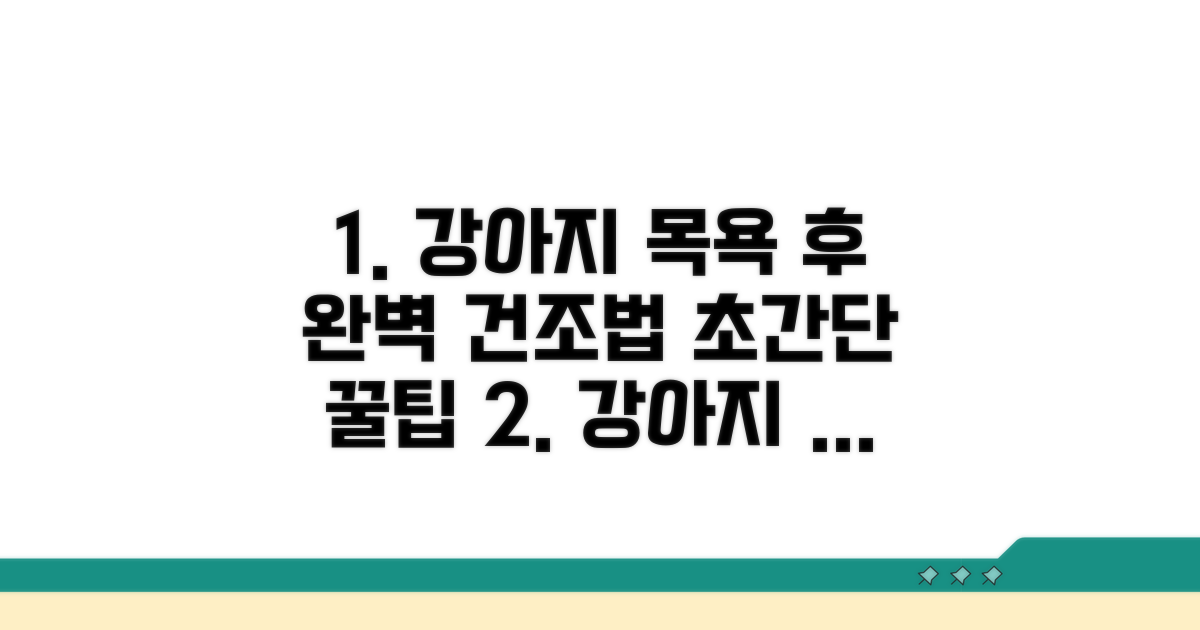 강아지 목욕 후 건조법 완벽 정리