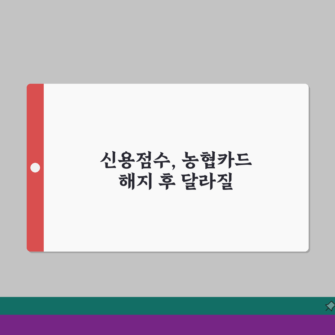 농협카드 해지 후 신용점수 영향 | NH카드 해지가 신용등급에 미치는 영향 꿀팁 공유할게요