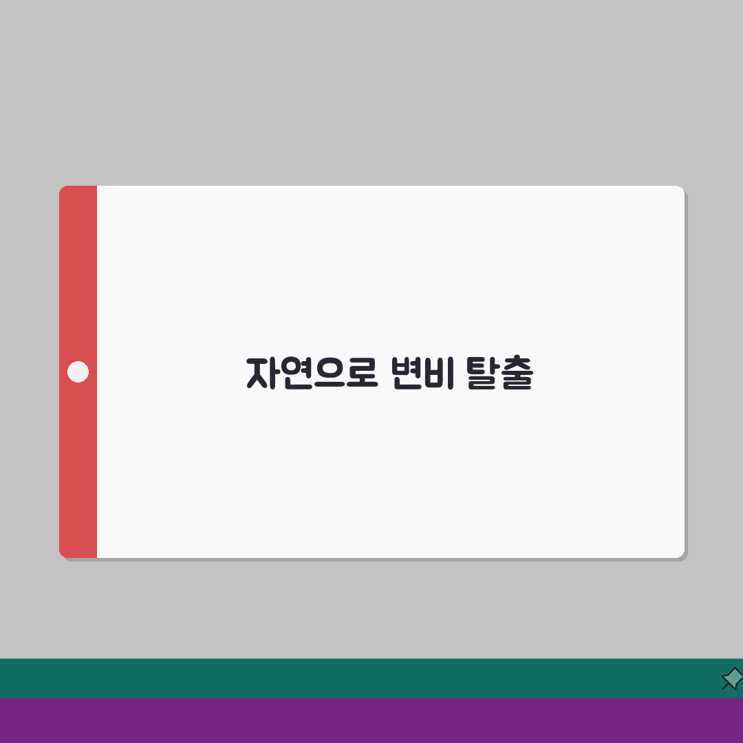 변비해결방법 자연치유 접근 | 식습관/운동/수분섭취 생활 루틴 꿀팁 공유해요!